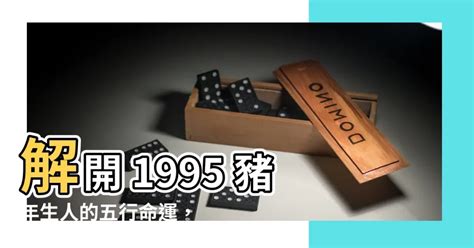 木豬年|豬生肖：性格、愛情、健康、事業、五行